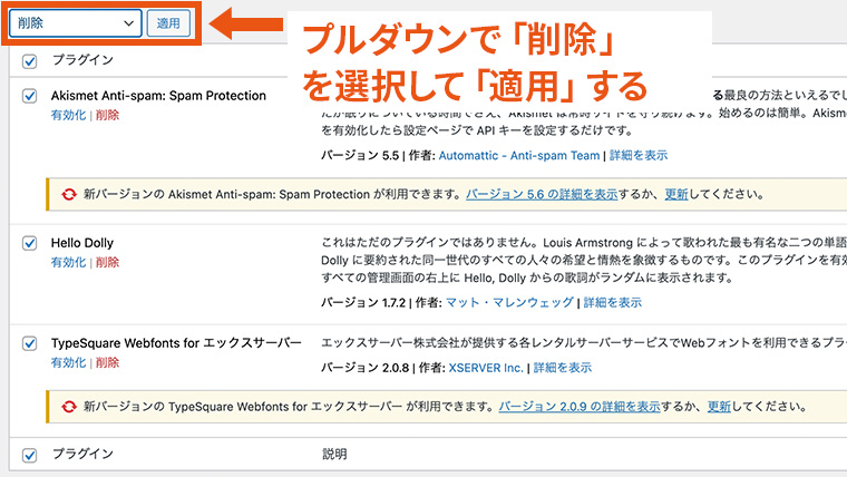 プラグイン一覧画面で、一括操作のプルダウンから「削除」を選択して適用ボタンまでが強調されているところ
